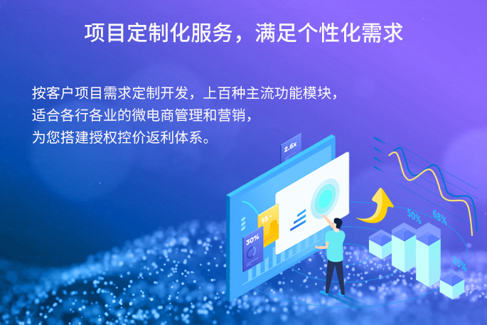 项目定制